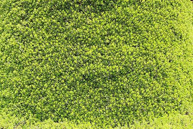 《盐与献祭》10分钟实机演示 召唤队友并肩作战